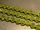 Crystal bicone lime (8mm)