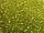 Glass seed bead 6/0 silver foil lime