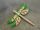 Pendant dragonfly green/ gold