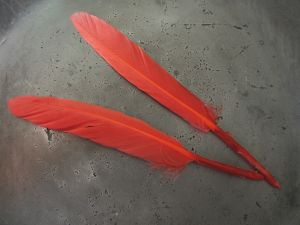 Feather red 