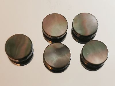 Blacklip simpukkakolikko (5kpl)