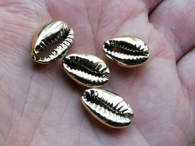 Simpukka cowrie K (4kpl)